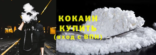 прущие грибы Арсеньев