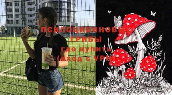 прущие грибы Арсеньев
