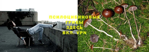 прущая мука Армянск